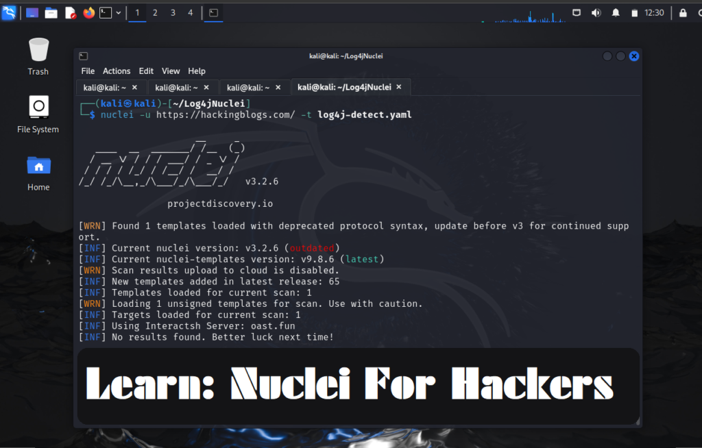 Nuclei - Basic Guide for Hackers