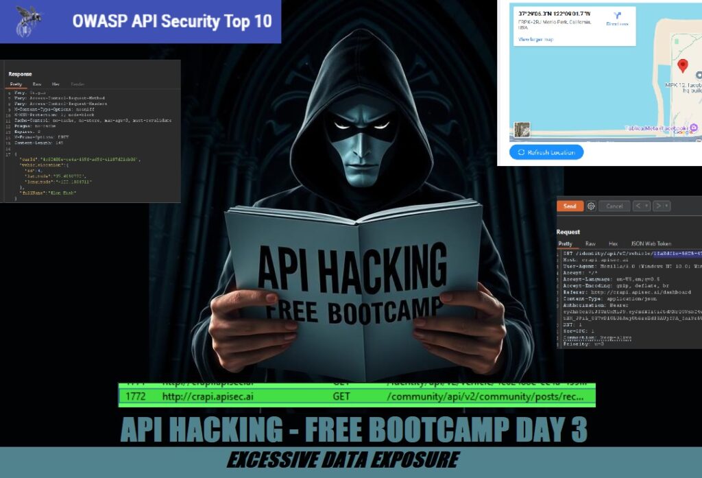 API-HACKING
